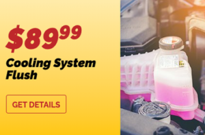 cooling system flush coupon
